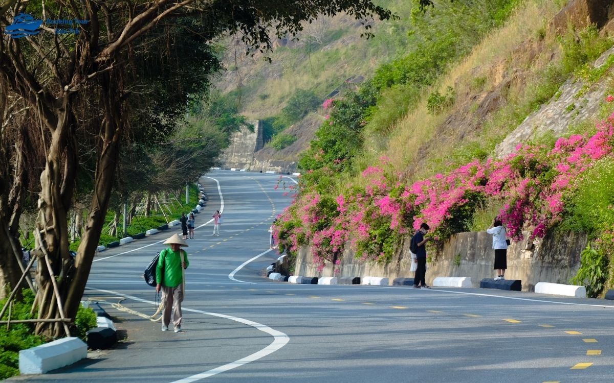 Gợi ý tuyến đường đến bán đảo Sơn Trà