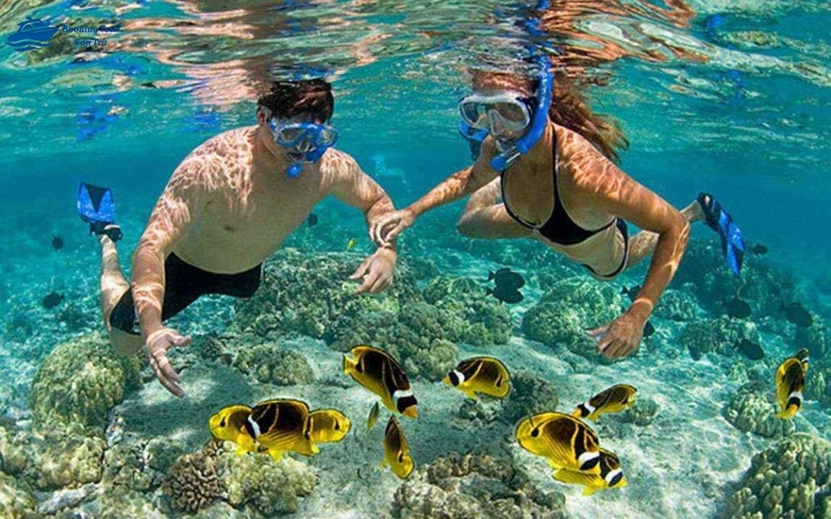 Lặn biển Đà Nẵng đem đến trải nghiệm khám phá đại dương trọn vẹn