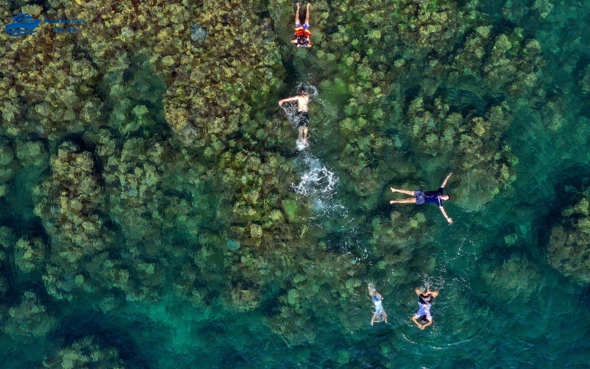 Hòn Chảo ở Đà Nẵng