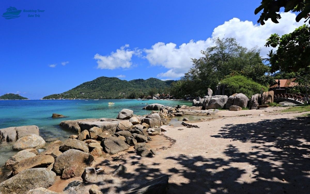 Bãi Rạng là địa điểm ngắm san hô đẹp ở bán đảo Sơn Trà