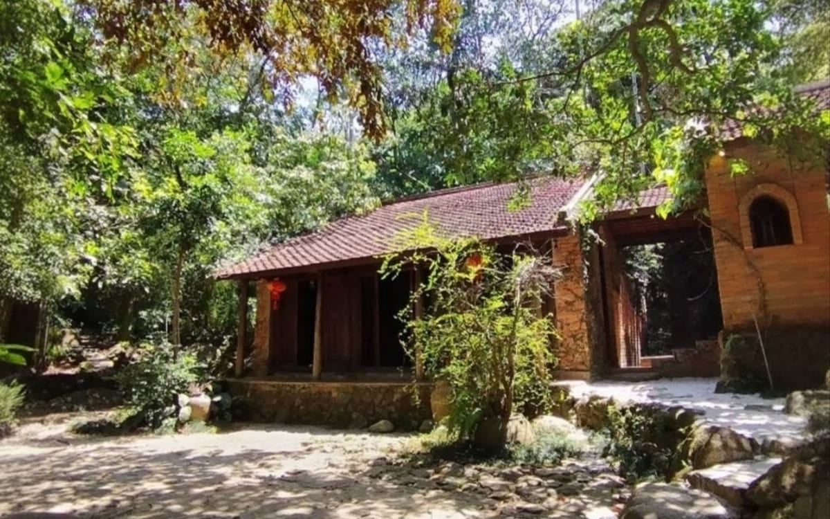 Bảo tàng Đồng Đình Sơn Trà: Giải mã Khu Vườn Ký Ức đầy nghệ thuật 10 Check-in ngôi nhà cổ tại Bảo tàng Đồng Đình Sơn Trà