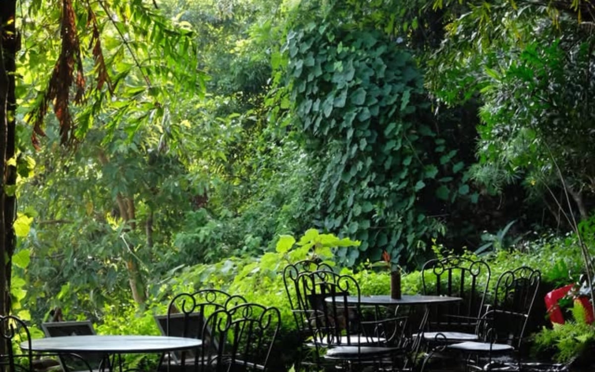 Bảo tàng Đồng Đình Sơn Trà: Giải mã Khu Vườn Ký Ức đầy nghệ thuật 11 Một góc của Bảo tàng Đồng Đình nằm giữa ngôi rừng nguyên sinh