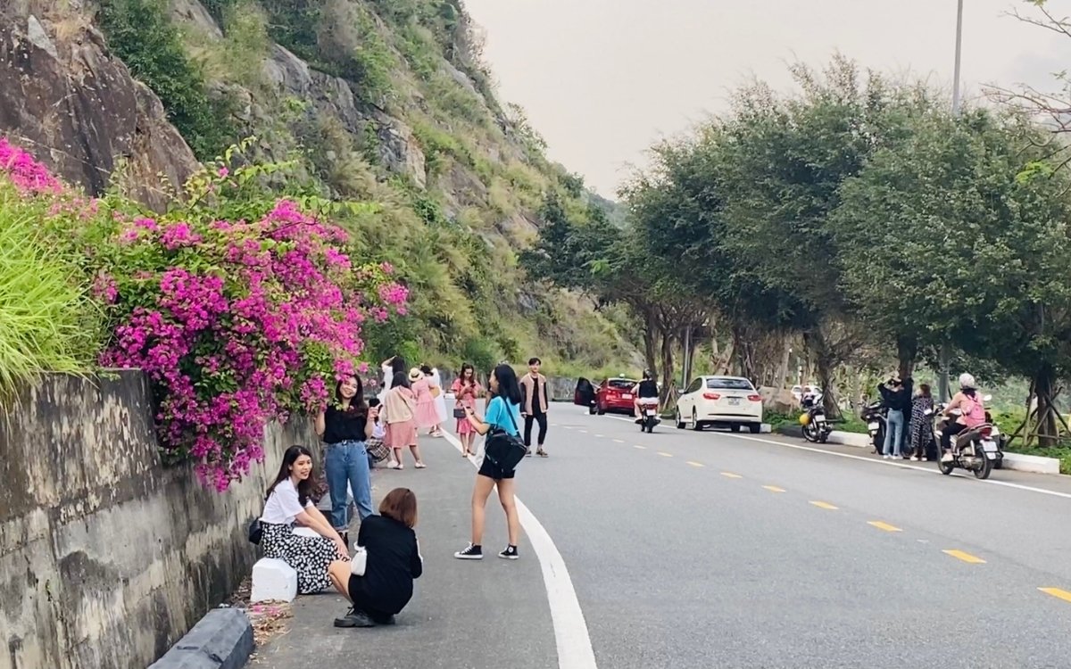 Hoa giấy Sơn Trà: "Nàng thơ" tháng 3 và bí kíp check-in cực phẩm 2 Đường hoa giấy Sơn Trà Đà Nẵng gây sốt trong cộng đồng trẻ