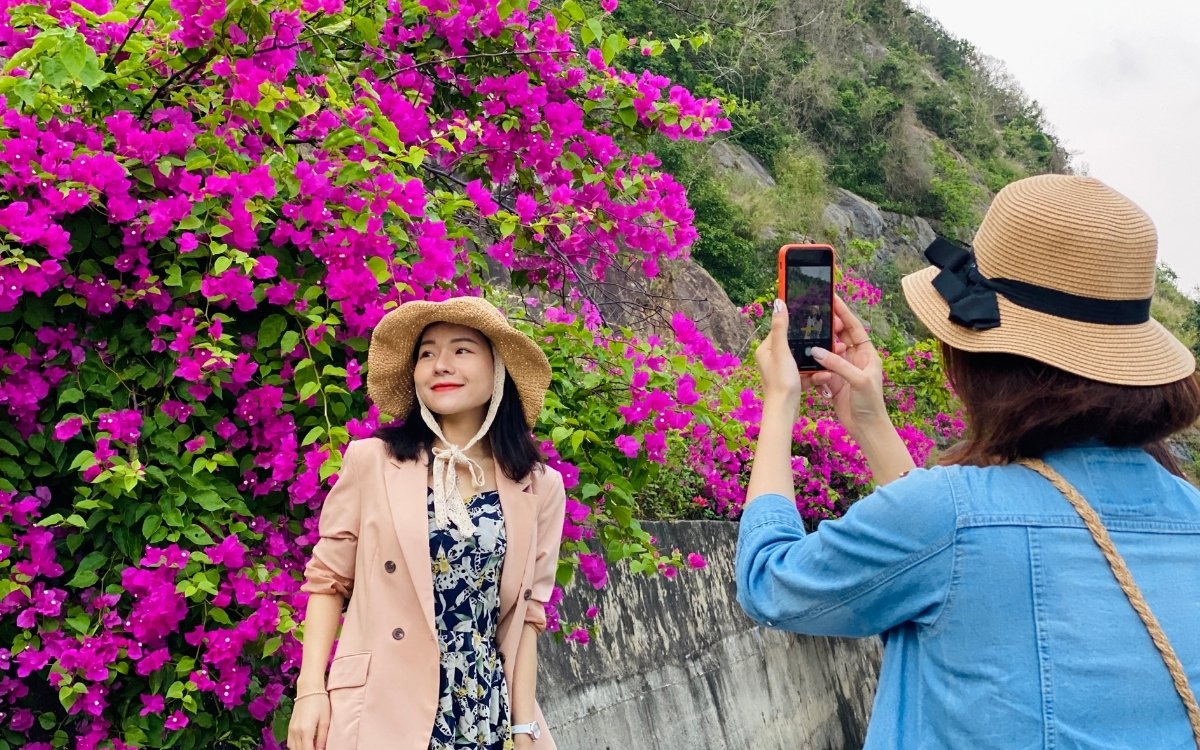 Hoa giấy Sơn Trà: "Nàng thơ" tháng 3 và bí kíp check-in cực phẩm 6 Hướng dẫn mẹo check-in sống ảo hoa giấy Sơn Trà siêu đẹp