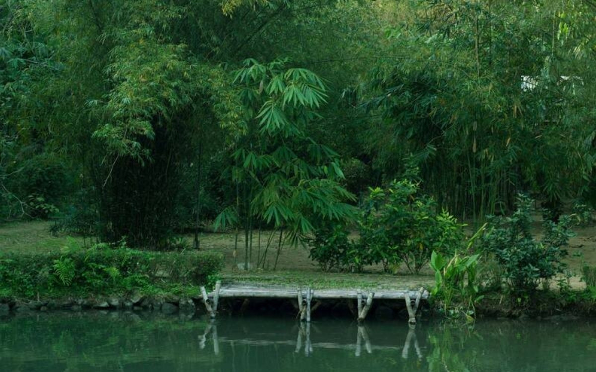 Sơn Trà Tịnh Viên Đà Nẵng: Cẩm nang khám phá chốn Tịnh Viên tre trúc 3 Sơn Trà Tịnh Viên chính là nơi an cư, tu tập của sư Thích Thế Tường