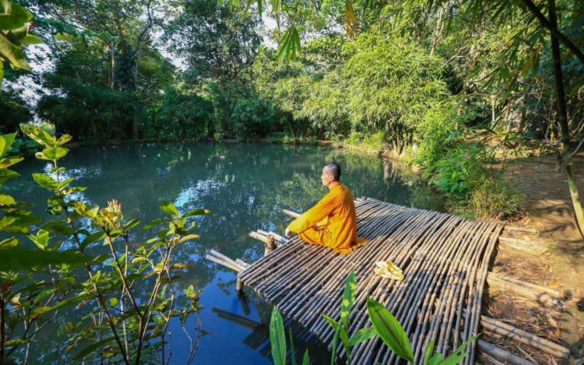 Sơn Trà Tịnh Viên Đà Nẵng: Cẩm nang khám phá chốn Tịnh Viên tre trúc 4 Khung cảnh xanh mướt huyền ảo của Sơn Trà Tịnh Viên