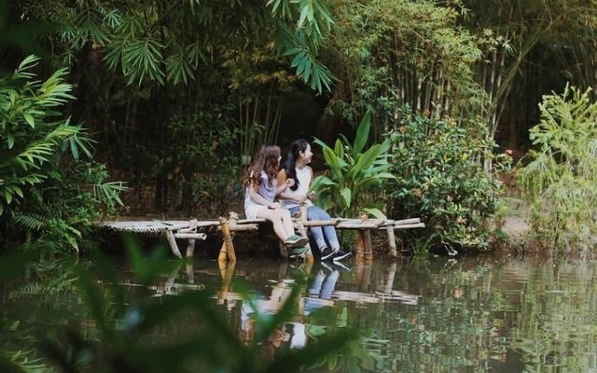 Sơn Trà Tịnh Viên Đà Nẵng: Cẩm nang khám phá chốn Tịnh Viên tre trúc 8 Check-in hồ Sen nhỏ cùng Cầu Gỗ tại Sơn Trà Tịnh Viên