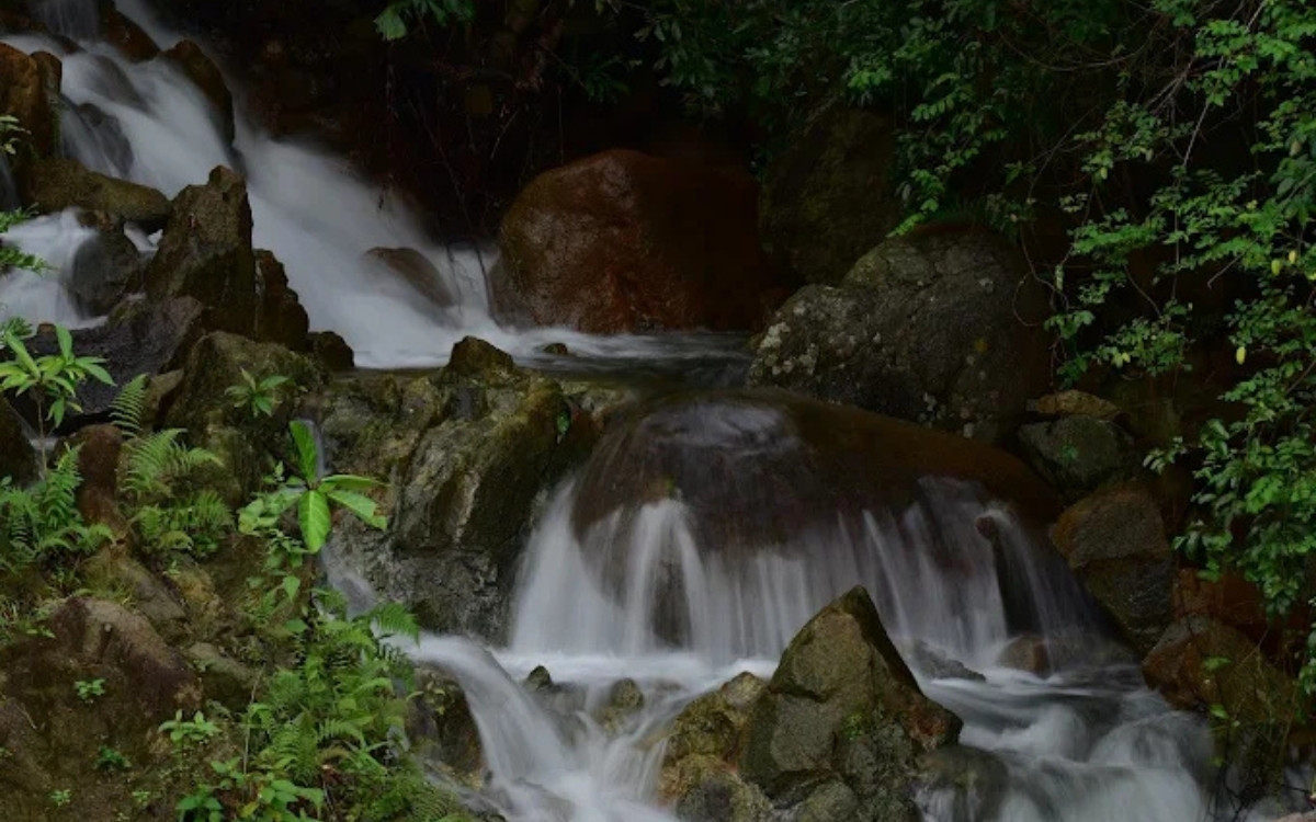 Suối Ôm Sơn Trà: Cẩm nang chinh phục và quy định mới nhất 2026 2 Khung cảnh thiên nhiên hòa hợp tại Suối Ôm Sơn Trà