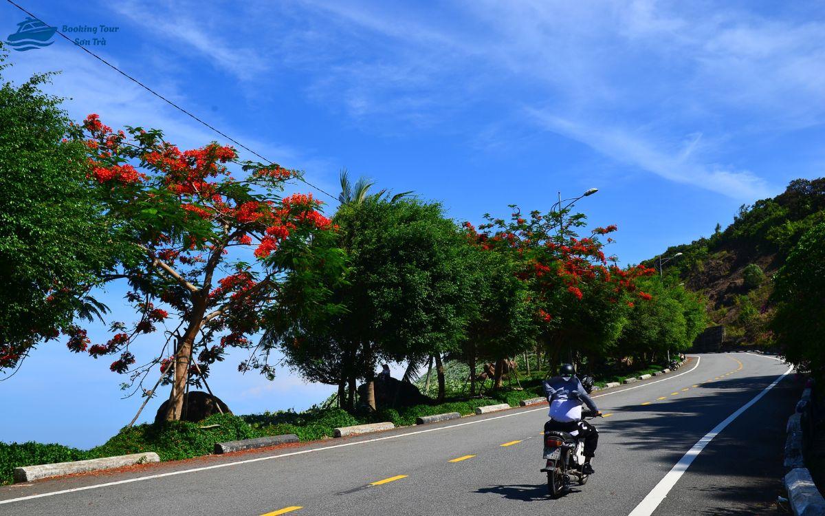 Đi xe máy lên bán đảo Sơn Trà là trải nghiệm được nhiều người ưa chuộng bán đảo sơn trà cách đà nẵng bao nhiêu km